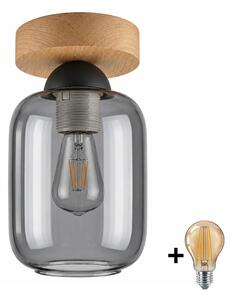 BRILAGI - LED stropné svietidlo R GLASS 1xE27/60W/230V pr. 14 cm dub/dymová sivá