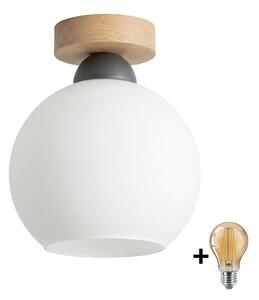 BRILAGI - LED stropné svietidlo RETRO GLASS 1xE27/60W/230V priemer 15 cm dub/biela