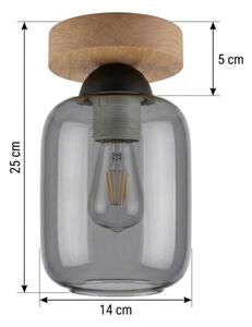BRILAGI - LED stropné svietidlo R GLASS 1xE27/60W/230V pr. 14 cm dub/dymová sivá