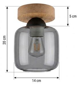 BRILAGI - LED Stropné svietidlo R GLASS 1xE27/60W/230V pr. 14 cm dub/dymová šedá