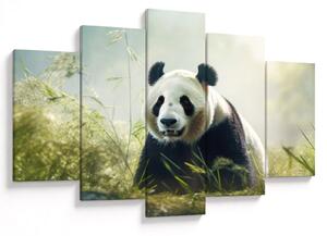 Obraz - Panda (150x105 cm)