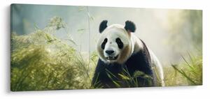 Obraz - Panda (120x50 cm)