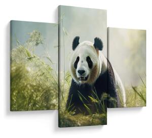 Obraz - Panda (90x60 cm)
