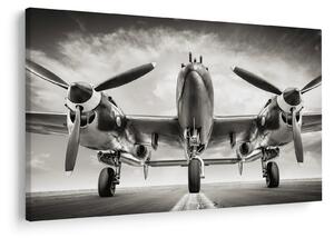 Obraz - Warbird (90x60 cm)