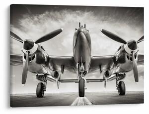 Obraz - Warbird (70x50 cm)