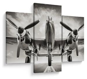 Obraz - Warbird (90x60 cm)