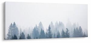 Obraz - Zahmlený les (120x50 cm)