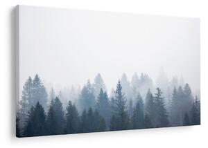 Obraz - Zahmlený les (90x60 cm)