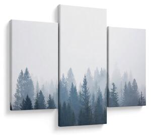 Obraz - Zahmlený les (90x60 cm)