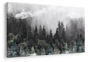 Obraz - Les s ilustrovanými prvkami (90x60 cm)