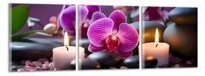 Obraz na plátne Orchidey so sviečkami