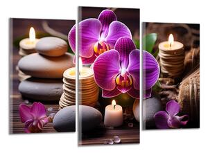 Obraz na plátne Zen kamene a orchidey