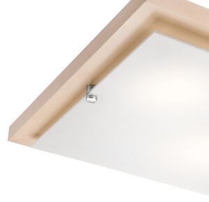 Stropné svietidlo 2xE27/60W/230V