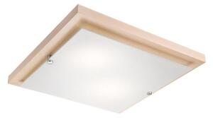 Stropné svietidlo 2xE27/60W/230V