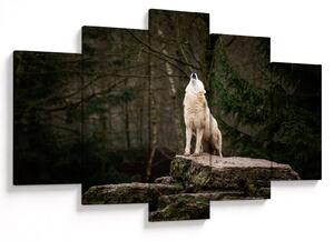 Obraz - Vytie vlka (150x105 cm)