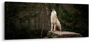 Obraz - Vytie vlka (120x50 cm)