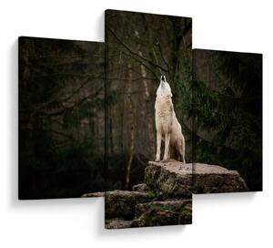 Obraz - Vytie vlka (90x60 cm)