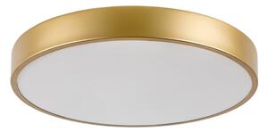 Rabalux 71037 - LED stropné svietidlo TESIA LED/36W/230V 3000K