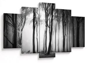 Obraz - Vlk v temnom lese (150x105 cm)