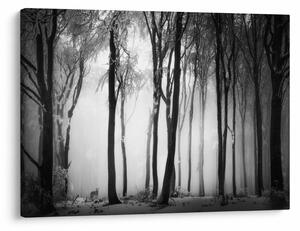Obraz - Vlk v temnom lese (70x50 cm)