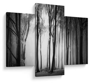 Obraz - Vlk v temnom lese (90x60 cm)