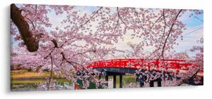 Obraz - Hirosaki, Japonsko (120x50 cm)