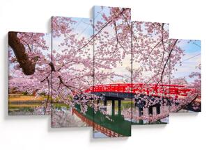 Obraz - Hirosaki, Japonsko (150x105 cm)