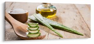 Obraz - Aloe vera (120x50 cm)