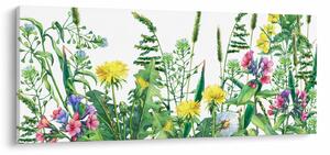 Obraz - Maľované lúčne kvety (120x50 cm)