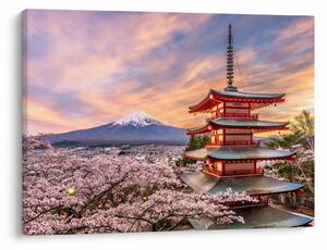 Obraz - Fuji (70x50 cm)