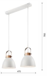 Luster na lane DANIELLE 2xE27/60W/230V