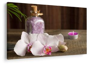 Obraz - Sviečka a orchidey (90x60 cm)