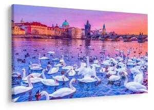 Obraz - Praha (90x60 cm)