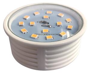 LED line® LED žiarovka bez závitu 5W, 330lm, 110°, Farba svetla: Denná biela [247293]
