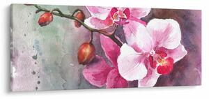 Obraz - Orchidey, aquarel (120x50 cm)