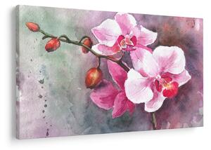 Obraz - Orchidey, aquarel (90x60 cm)