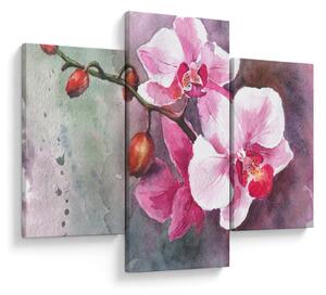 Obraz - Orchidey, aquarel (90x60 cm)