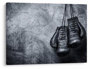Obraz - Boxerské rukavice (70x50 cm)