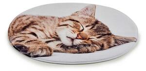 Predložka s mourovatou mačkou - 2 varianty Číslo: spící kotě