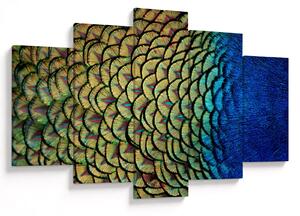 Obraz - Pávie perie (150x105 cm)