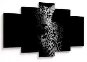 Obraz - Portrét leoparda (150x105 cm)