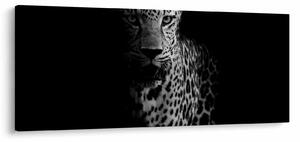 Obraz - Portrét leoparda (120x50 cm)