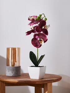 Sinsay - Ozdobná umelá rastlina - orchideová