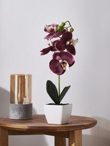 Sinsay - Ozdobná umelá rastlina - orchideová