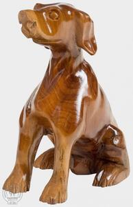 FaKOPA s. r. o. DOG XL - pes zo suaru 52 cm, suar