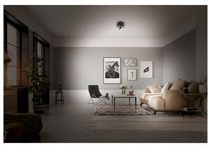 Livarno home Stropné LED svietidlo (stropné svietidlo, okrúhle) (100365057)