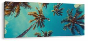 Obraz - Vysoké palmy (120x50 cm)