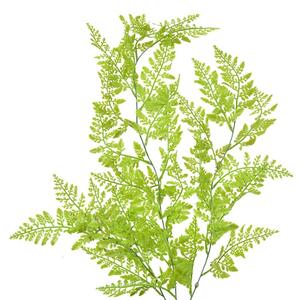 Zelená umelá previsnutá rastlina papradie - 15*5*80 cm - Clayre & Eef