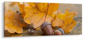 Obraz - Jesenné žalude (120x50 cm)