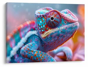 Obraz - Sfarbený chameleón (70x50 cm)